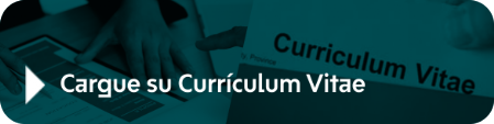 Cargue su Currículum Vitae