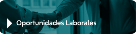 Oportunidades Laborales